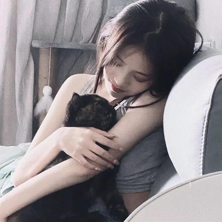 芝特拉