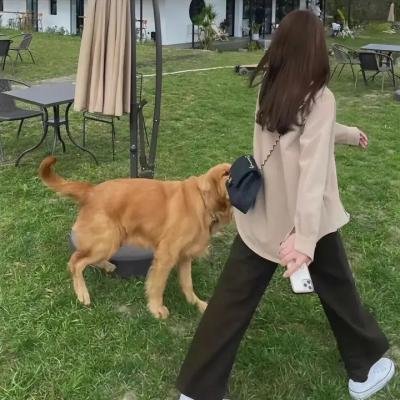 鹅毛笔